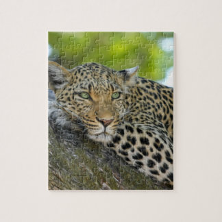 Geweldige luipaard legpuzzel