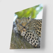 Geweldige luipaard vierkante klok (Hoek)