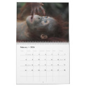Geweldige orang-oetans 2026 kalender (Feb 2026)