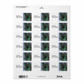Geweldige Peacock-doether Etiket (Full Sheet)