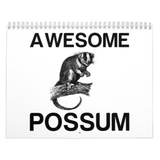 GEWELDIGE POSSUM KALENDER