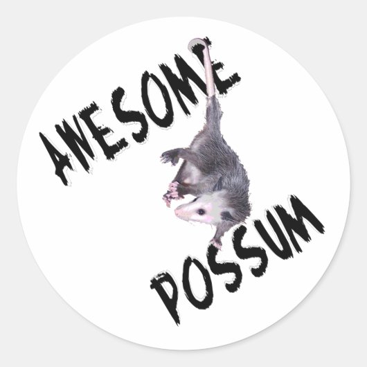 Geweldige possum ronde sticker (Voorkant)