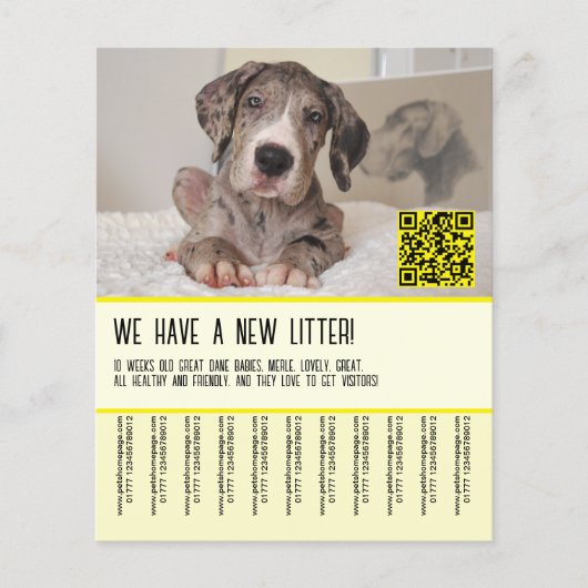 Geweldige Puppies voor verkoopbrochure Flyer (Voorkant)