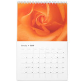 Geweldige Rozen 2024 Kalender (Jan 2026)