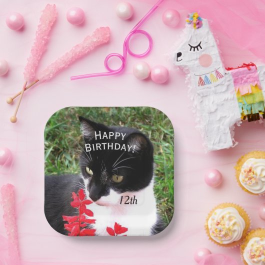 Geweldige Tuxedo Cat in Tuden Personal Papieren Bordje (Feest)