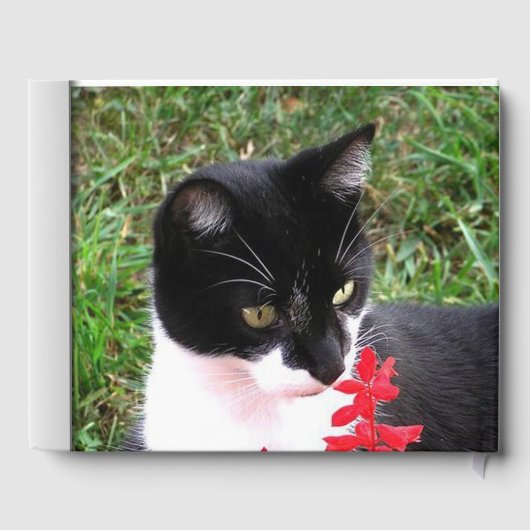 Geweldige Tuxedo Cat in tuin - aangepaste tekst in Gastenboek (Achterkant)