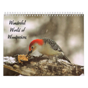 Geweldige wereld van Woodpeckers Twee Pagina-kalen Kalender