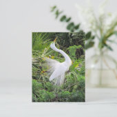 Geweldige White Egret Love Dance Briefkaart (Staand voorkant)