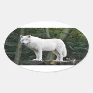 Geweldige witte wolf ovale sticker