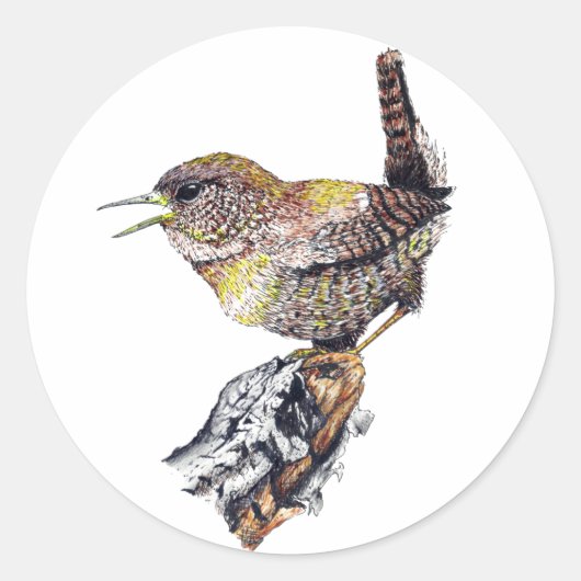 Geweldige Wren Sticker (Voorkant)