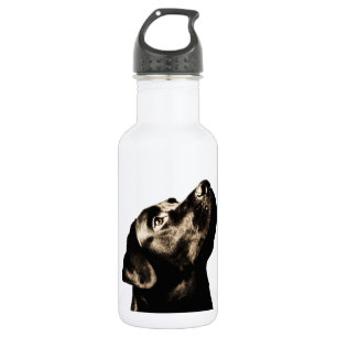 Geweldige zwarte labrador Retriever Waterfles