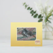 Gewicht van eigen schattigheid briefkaart (Staand voorkant)