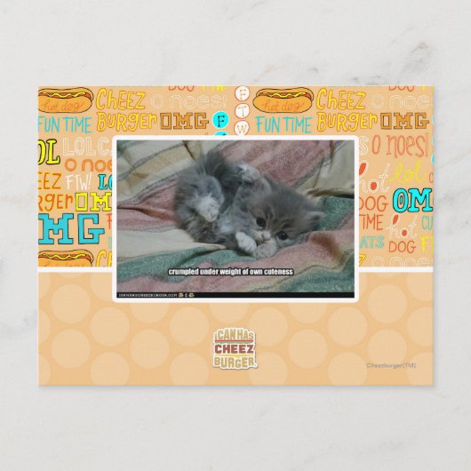 Gewicht van eigen schattigheid briefkaart (Voorkant)