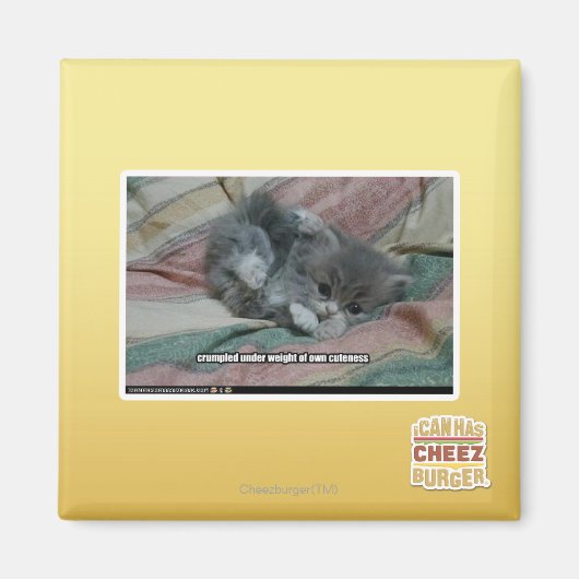 Gewicht van eigen schattigheid magneet (Voorkant)