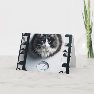 Gewichtsverlies Humor Kat Op Een Weegschaal Kaart