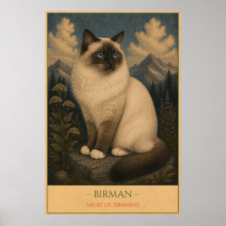 Gewijde Gratie: Birmese Kat Poster
