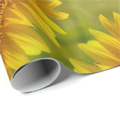 Gewogen zonnebloemen.... cadeaupapier (Rol Hoek)