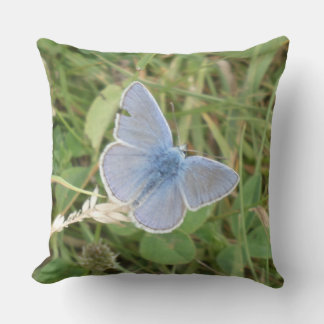 Gewone Blauwe Vlinder in Gras Worp Kussen