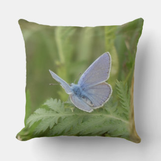 Gewone Blauwe Vlinder op Blad Worp Kussen