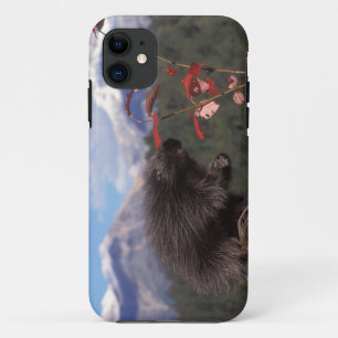 Gewone boomstekelvarken die hoog struik cranberry  iPhone 11 hoesje
