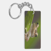 Gewone coqui, Eleutherodactylus coqui Sleutelhanger (Voorkant Links)