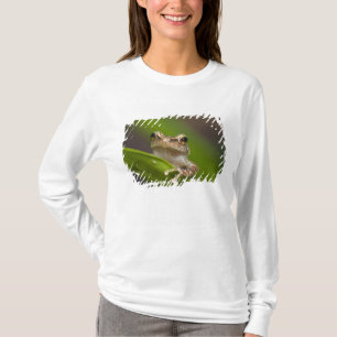 Gewone coqui, Eleutherodactylus coqui T-shirt
