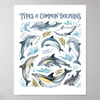 Gewone dolfijnen aquarel oceaan dieren in het wild poster
