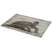 Gewone doosschildpad snijplank (Hoek)