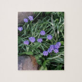 gewone druif, blauwe paarse bloem, bloem legpuzzel (Verticaal)