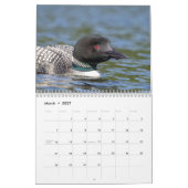 Gewone duikergans 2026 kalender (Mar 2027)