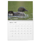 Gewone duikergans 2026 kalender (Feb 2027)