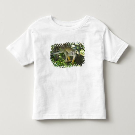 Gewone Eekhoornaap, (Saimiri sciureus), Rio Kinder Shirts (Voorkant)