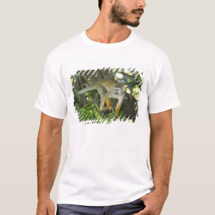 Gewone Eekhoornaap, (Saimiri sciureus), Rio T-shirt