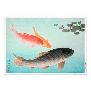 Gewone en Gouden Karper Ohara Koson Foto Afdruk