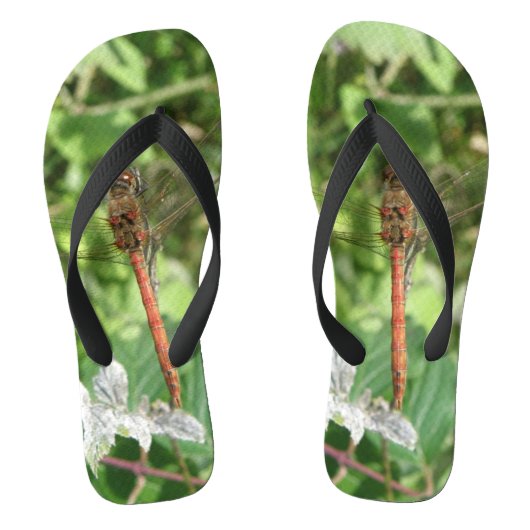 Gewone Glazenmaker Libel Flip Flops (Voetbed)