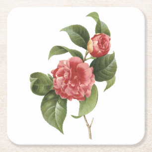 gewone kamellia (Camellia japonica) van Redouté Vierkante Kartonnen Onderzetter
