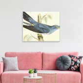 Gewone koekoek canvas afdruk (Insitu (Woonkamer))