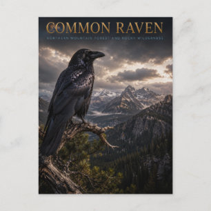 Gewone Raaf Berg Wilderness DIEREN Briefkaart