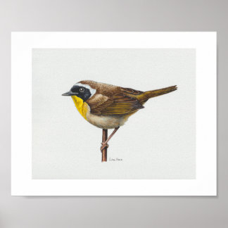 Gewone Yellowthroat Warbler Art Print