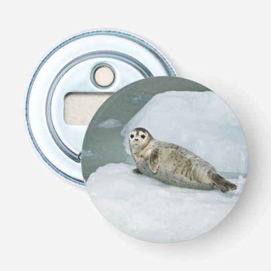 Gewone zeehond button flesopener (Voorkant)