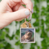 Gewone zeehond sleutelhanger (Hand)