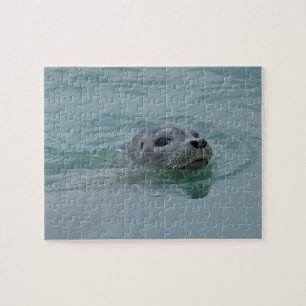 Gewone zeehond zwemmend in het gletsjermeer Jokuls Legpuzzel