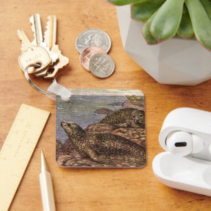 Gewone zeehonden, Oude zeedieren Oceandieren Sleutelhanger