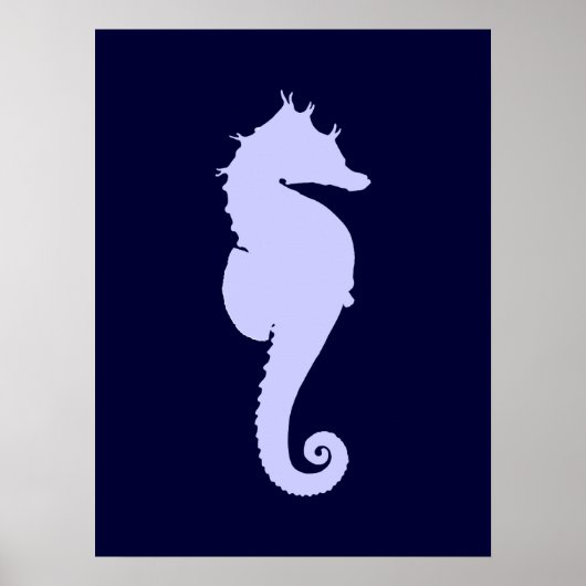Gewone Zeepaard Poster (Voorkant)