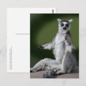 Gewoon Briefkaart (Voorkant / Achterkant)