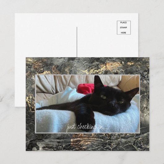 Gewoon Briefkaart zwart controleren (Voorkant / Achterkant)