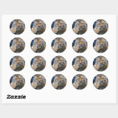Gewoon chillen sticker (Vel)