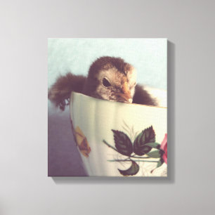 Gewoon Chillin hier in deze Teacup Canvas Afdruk