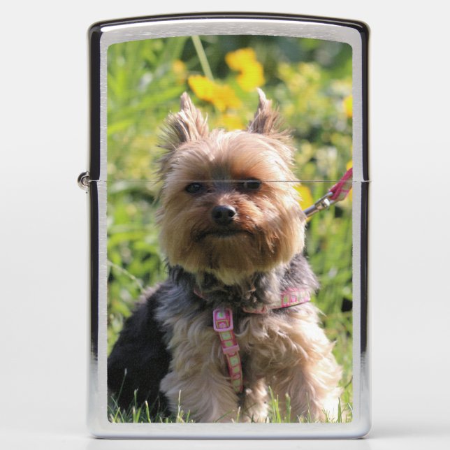 Gewoon donker (Voorkant)