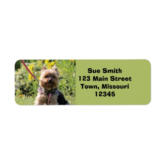 Gewoon donker etiket (Voorkant)